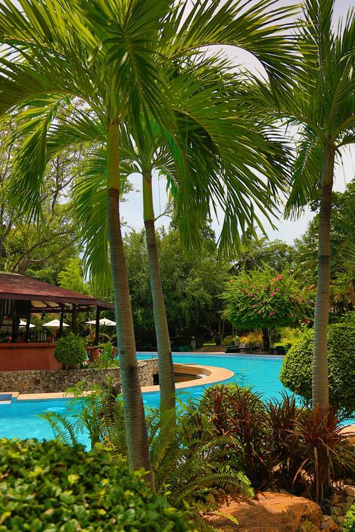 Loma Resort & Spa 芭達亞 外观 照片